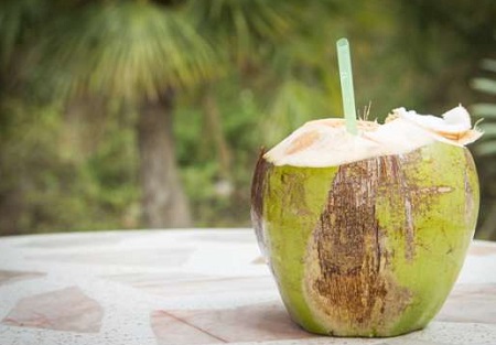 नारियल पानी पीने से समाप्त हो जाते है कई रोग, जल्दी पढ़ें