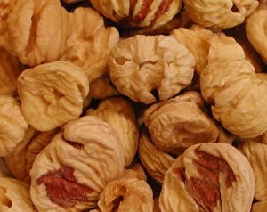 Chestnut image - Hindi Ki Guide