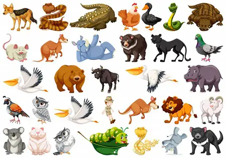 Animals Name in Bengali & English